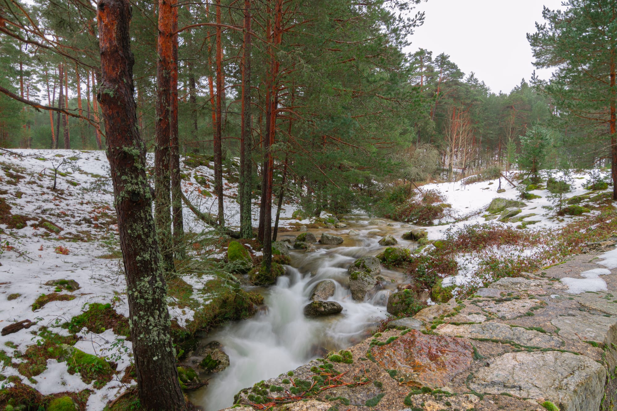 Ríos y Cañones 1