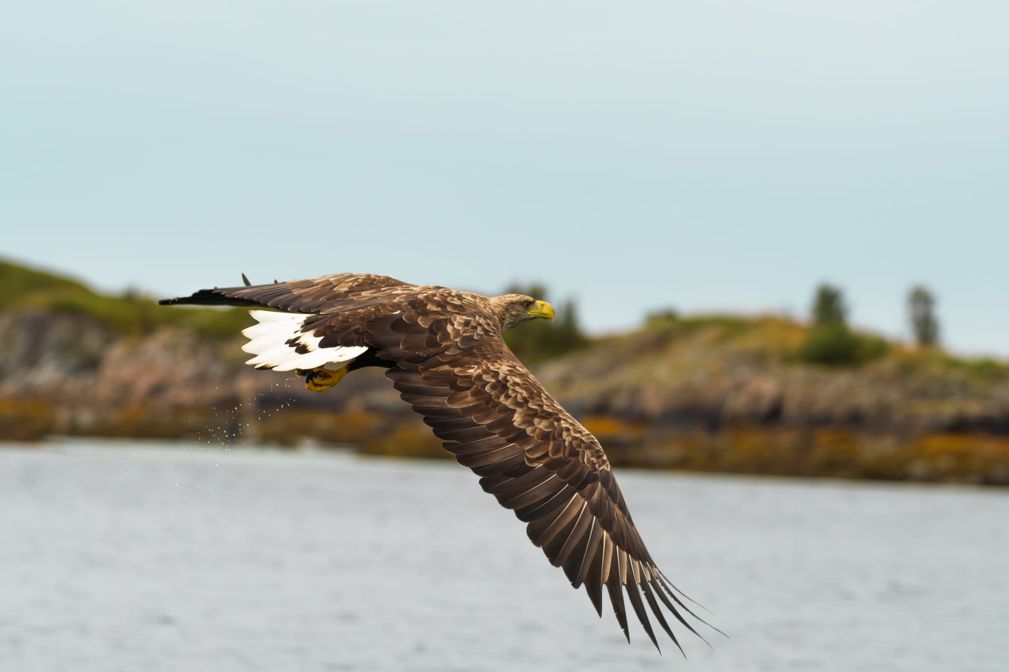 Noruega 3