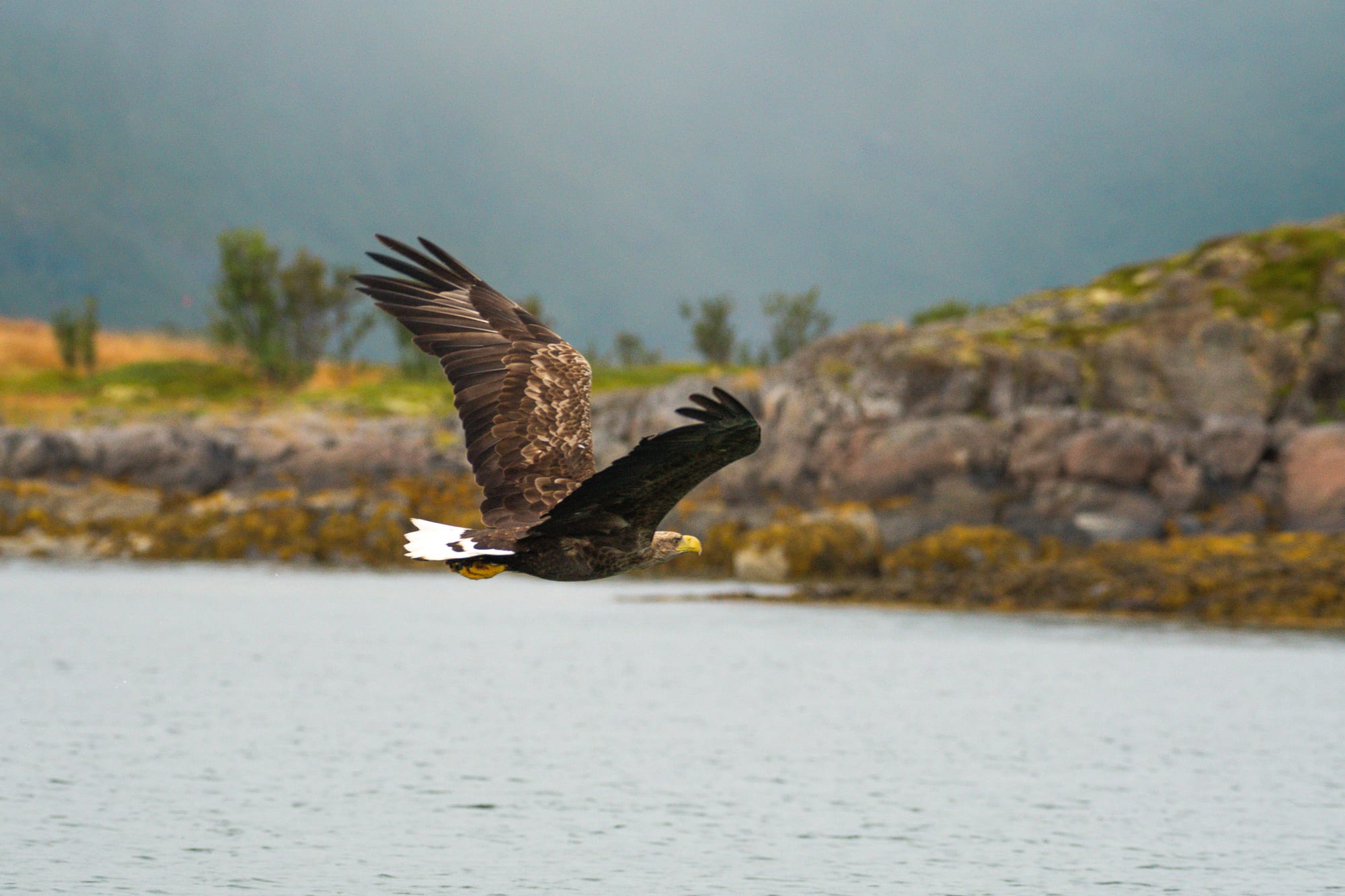 Noruega 5