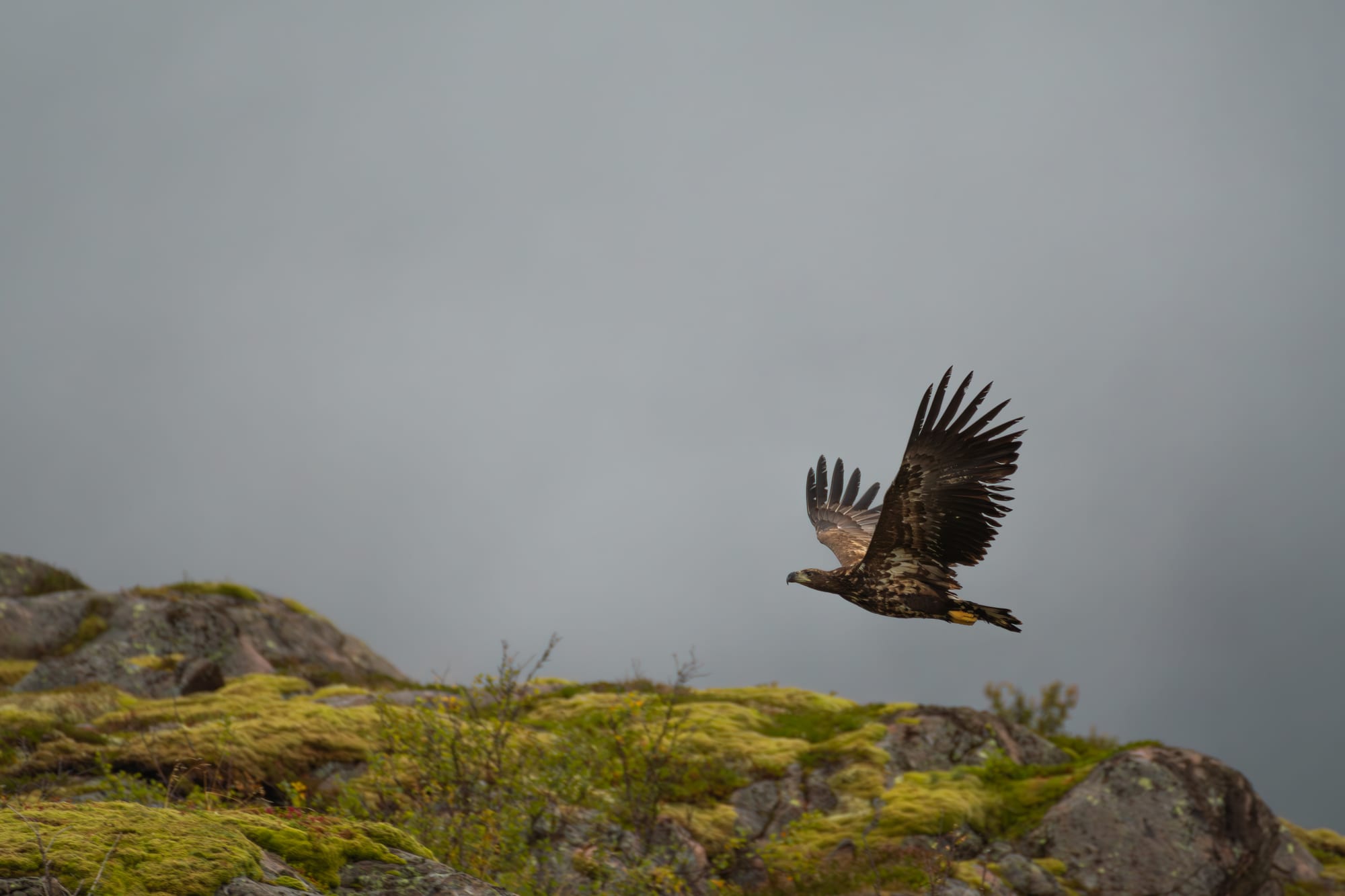 Noruega 10