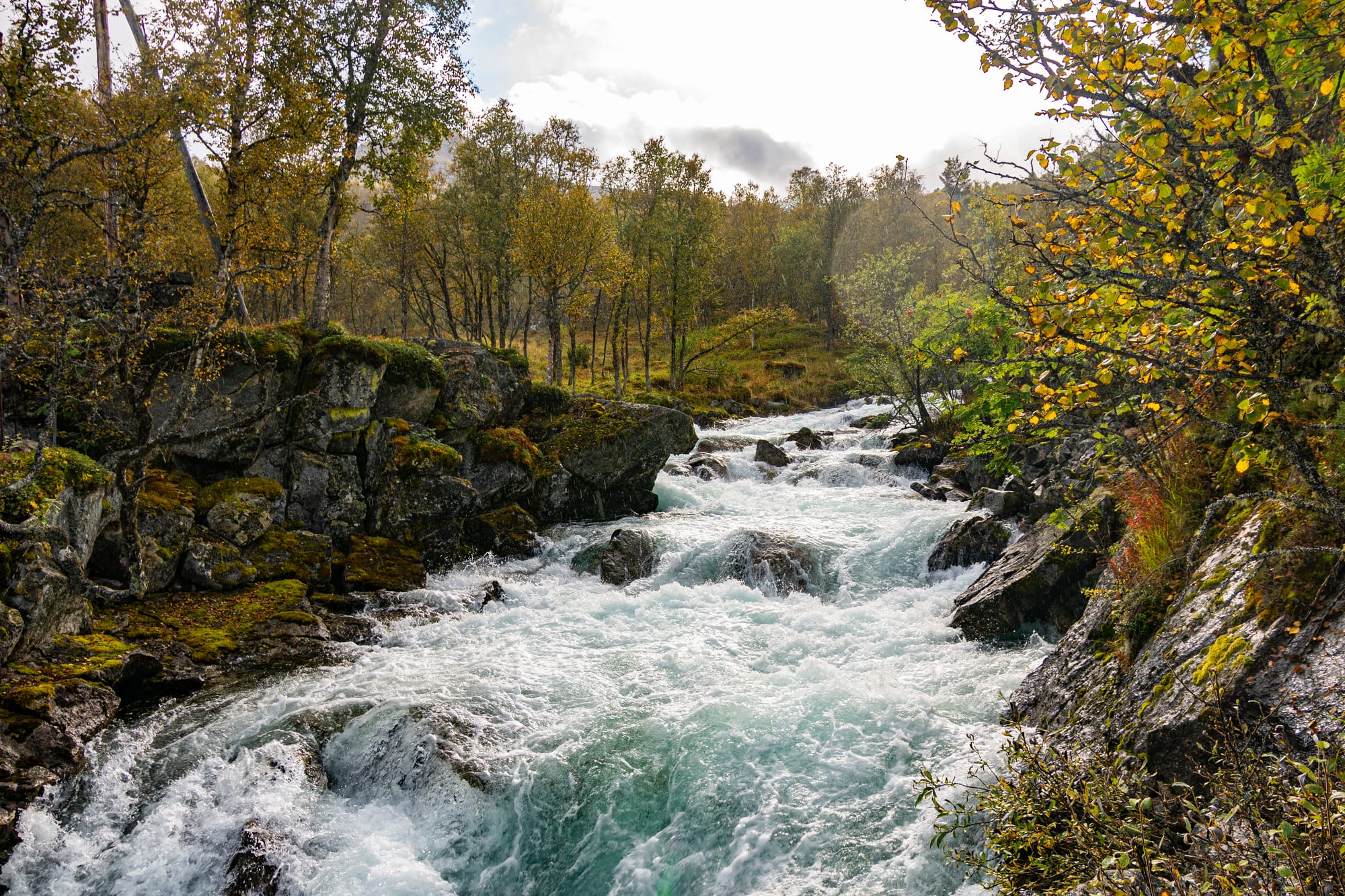 Noruega 36