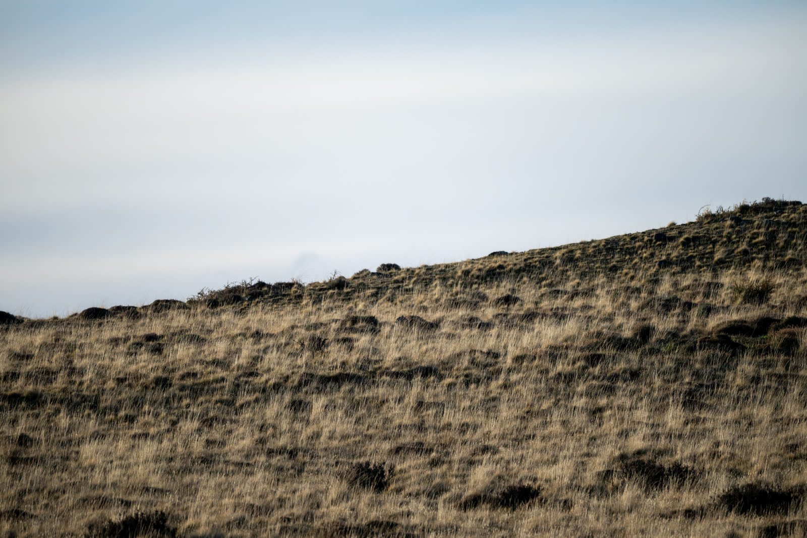 Patagonia 1