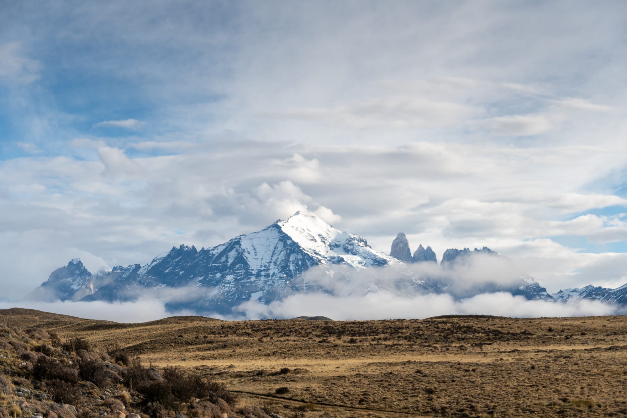 Patagonia 26