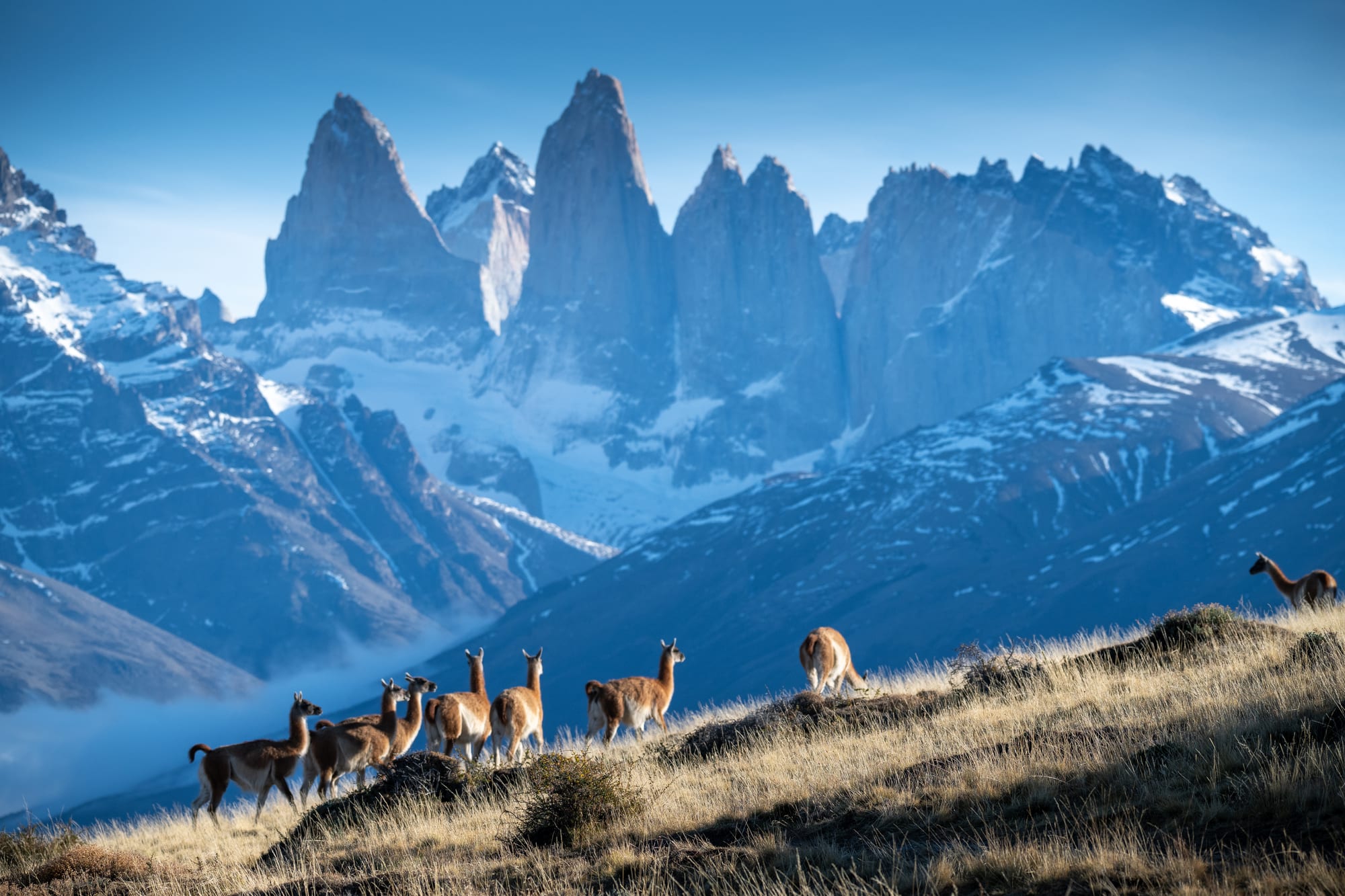 Patagonia 27