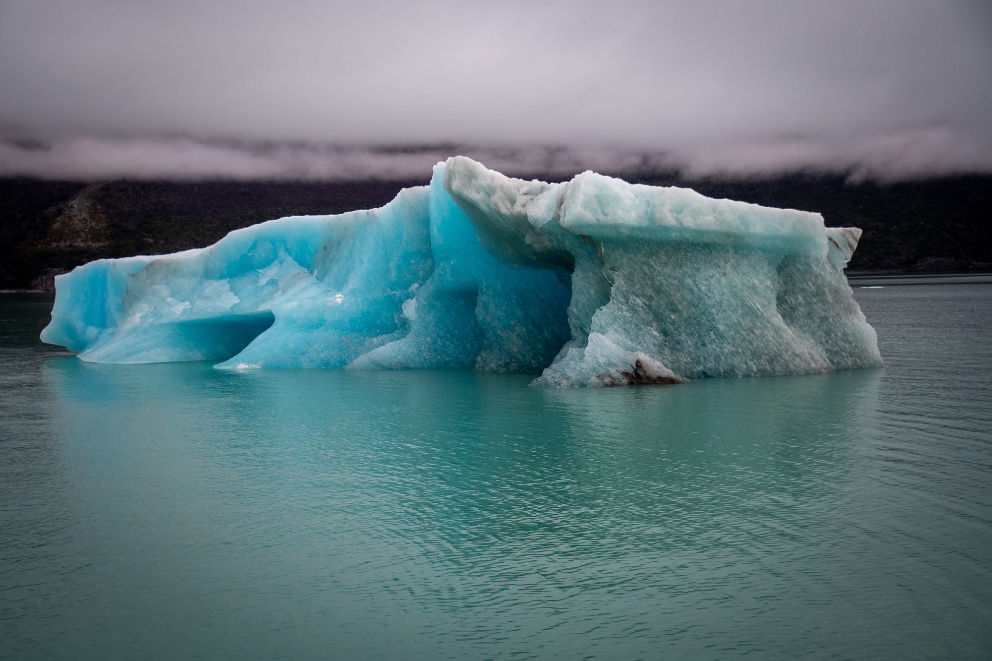 Patagonia 36