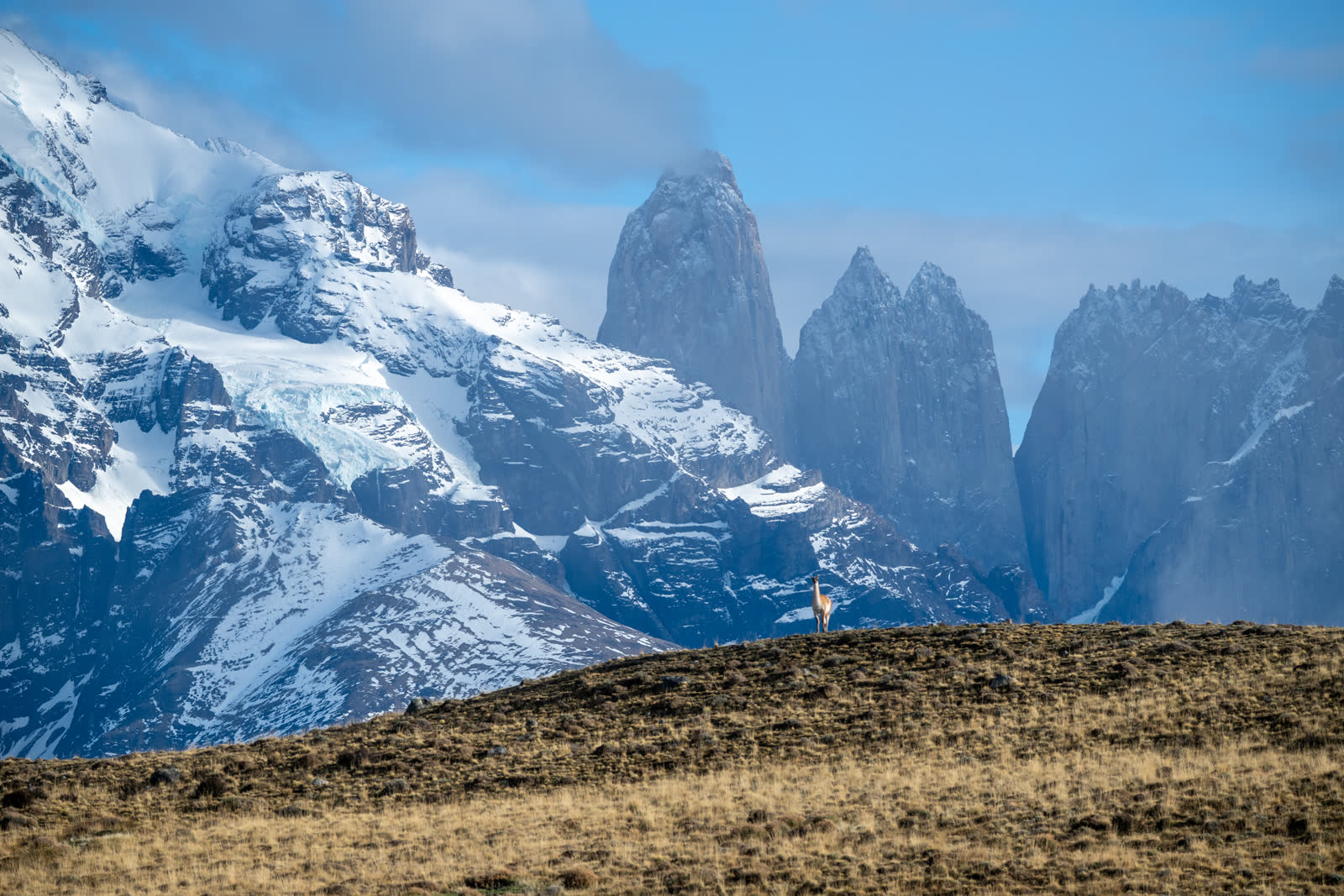 Escarcha en Torres del Paine