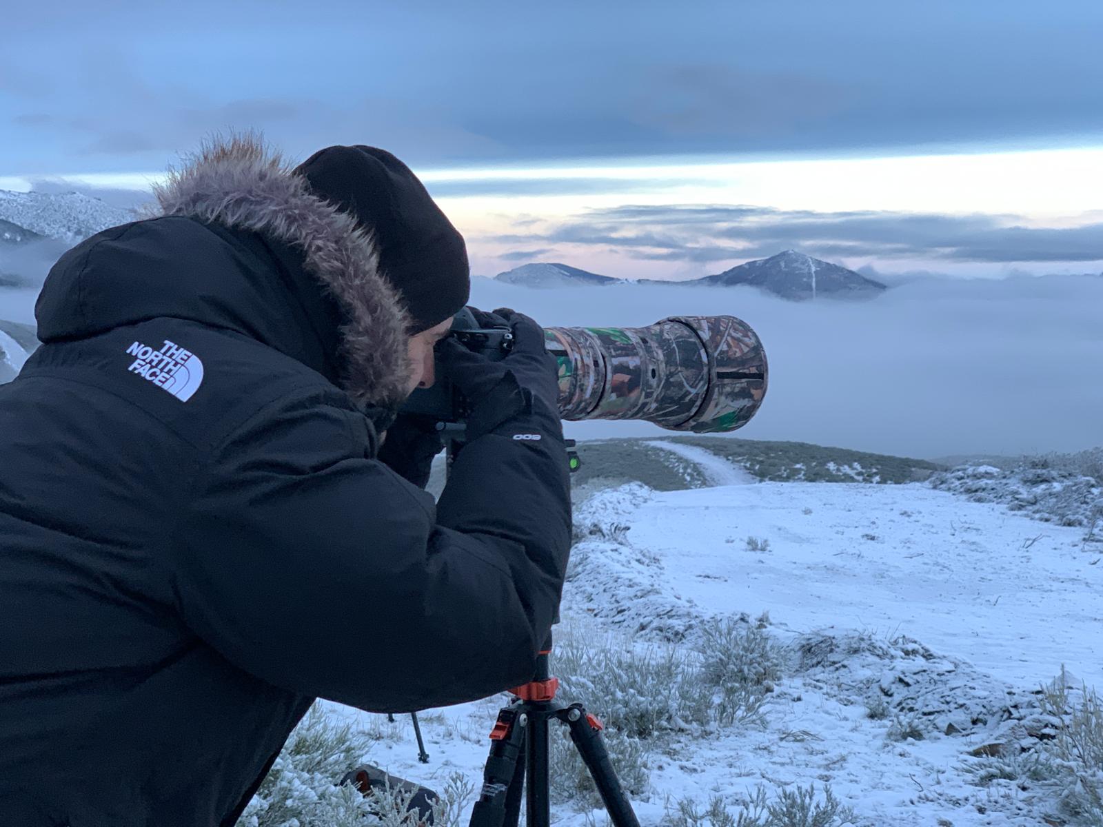Fotógrafo documentando fauna silvestre en bosque ibérico